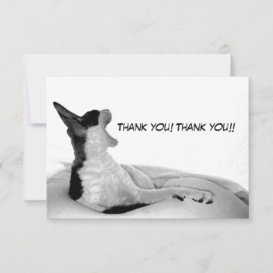 Cartão De Agradecimento Kitsa Diva: Rainha de seu domo