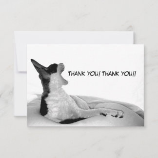 Cartão De Agradecimento Kitsa Diva: Rainha de seu domo