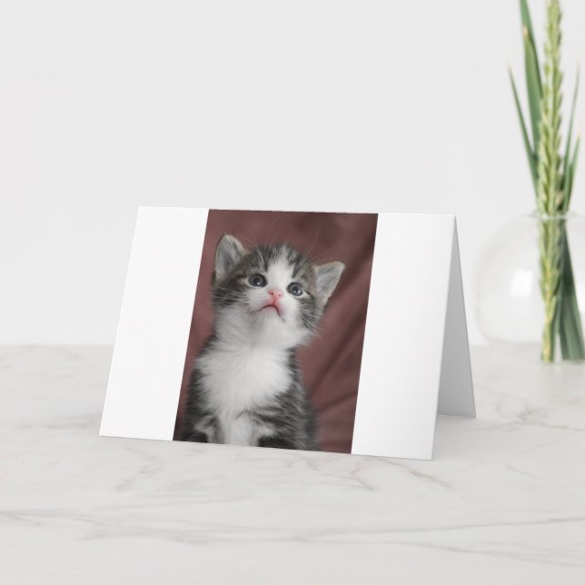 Cartão De Agradecimento Kitten (Frente)