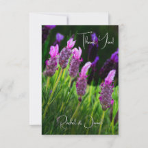 Lavanda, Amor e Devoção, Casamento