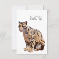 leopardo nebuloso fotografia selva grande gato ani
