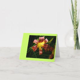 Cartão De Agradecimento Lily