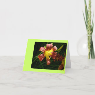 Cartão De Agradecimento Lily