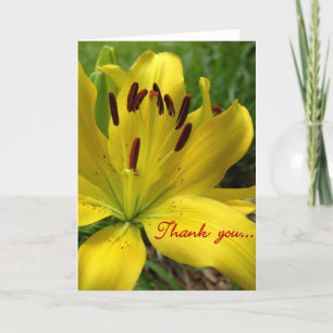 Cartão De Agradecimento Lily Floral Obrigado