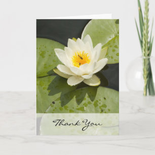 Cartão De Agradecimento Lily Pads and White Lotus Flower Thank You Card