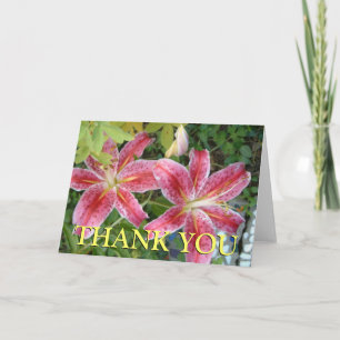 Cartão De Agradecimento Lírios Stargazer Jardim Floral