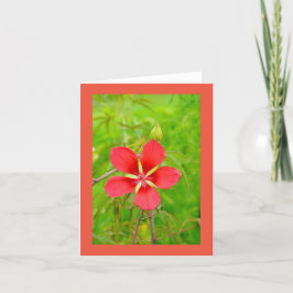 Cartão De Agradecimento Lotus Floral Notecard