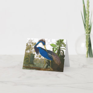 Cartão De Agradecimento Louisiana Blue Heron por causa de John James Audub