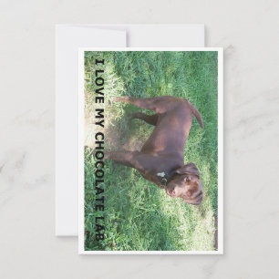 Cartão De Agradecimento LR chocolate lab love with picture