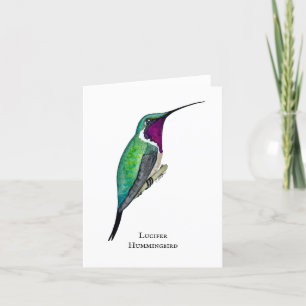 Cartão De Agradecimento Lucifer Hummingbird