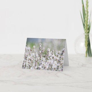 Cartão De Agradecimento Luz - lavanda roxa