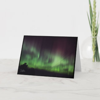 Cartão De Agradecimento Luzes Dançantes Sobre Placa de Vazio de Árvores Si