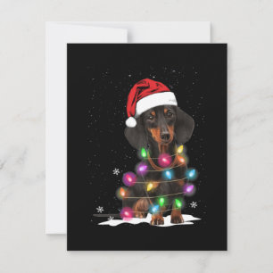 Cartão De Agradecimento Luzes De Natal Dachshund Com Neve