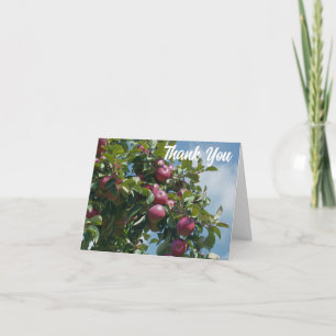 Cartão De Agradecimento Maçãs Na Árvore Personalizadas