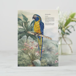 Cartão De Agradecimento Macaw Azul-Trocado Colorido Pintado À Mão