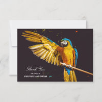Macaw Bonito de Vida Selvagem de Aves Amarelas