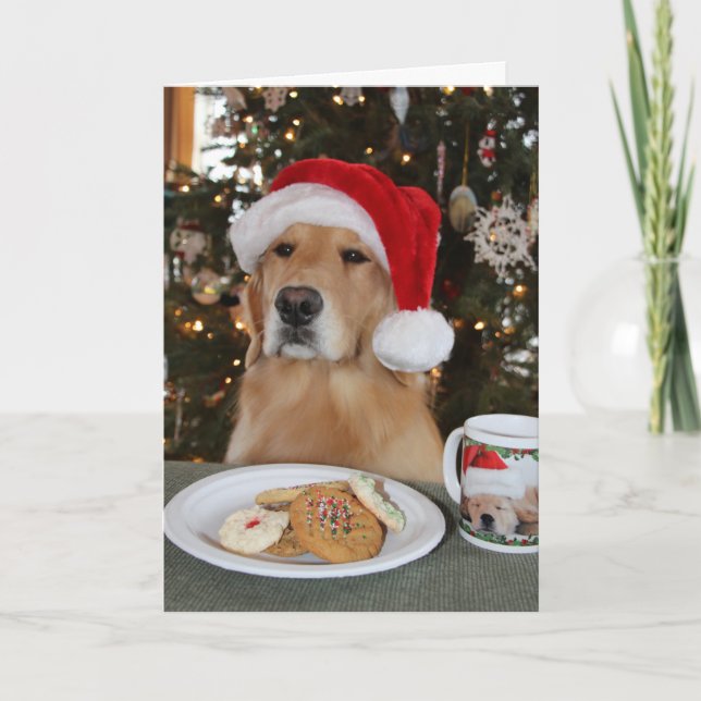 Cartão De Agradecimento Maddie Aguardando em Papais noeis (Frente)