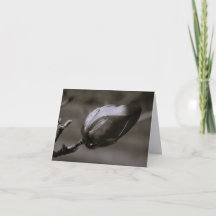 Magnólia em Preto e Branco Minimalista Arte Fina N