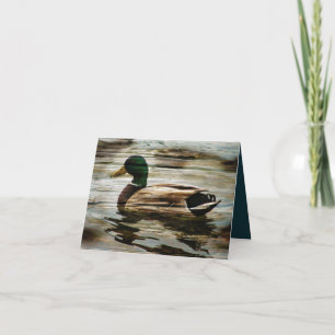 Cartão De Agradecimento Mallard Duck