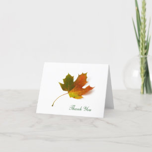 Cartão De Agradecimento Maple Leaf  by Petr Kratochvil, Thank You Card