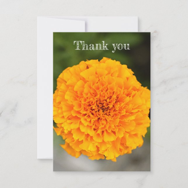 Cartão De Agradecimento Marigold Flat Thank You Card (Frente)