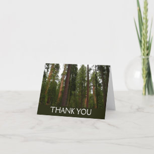 Cartão De Agradecimento Mariposa Grove no Parque Nacional de Yosemite