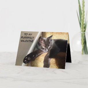 CARTÃO DE AGRADECIMENTO MEU GATINHO NAMORADOS PURRFECT