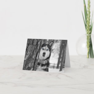 Cartão De Agradecimento Meus Olhos Azuis