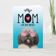 Minha mãe é o melhor Dia de as mães personalizado.