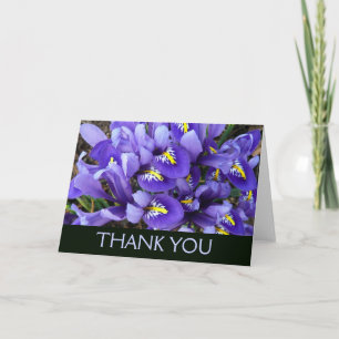 Cartão De Agradecimento Miniaturas de Íris Azuis Floral de Primavera