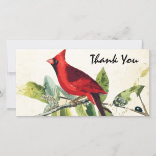 Cartão De Agradecimento Modern Watercolor Red Cardinal Obrigado
