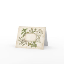 Moldura de Ervas Botânicas Vintage com Etiqueta em