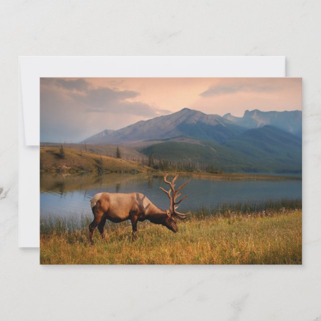 Cartão De Agradecimento Montanhas | Jacques Mountain Range Alberta Canadá (Frente)