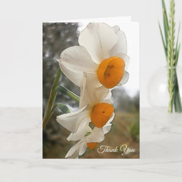 Cartão De Agradecimento Narciso. Flor