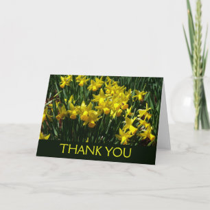 Cartão De Agradecimento Narcisos Amarelos Alegres Flores de Primavera