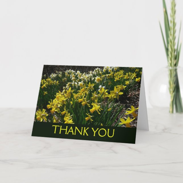 Cartão De Agradecimento Narcisos Amarelos e Brancos Flores da Primavera (Frente)