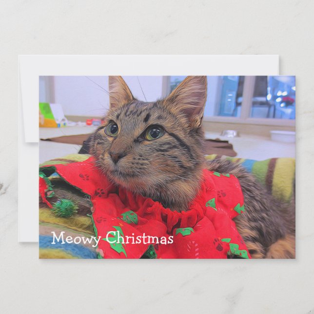 Cartão De Agradecimento Natal de Meowy (Frente)