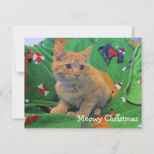 Cartão De Agradecimento Natal de Meowy