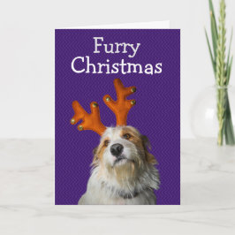 Cartão De Agradecimento Natal peludo do cachorro