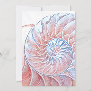 Cartão De Agradecimento nautilus shell seashell Fibonacci espiral rosa