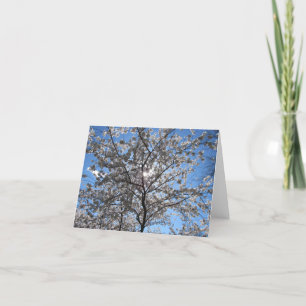 Cartão De Agradecimento Notecard de árvore florescente de flores de cereja