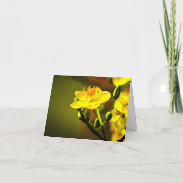 Cartão De Agradecimento Notecard do Apricot Blossom All Occasion (Frente)