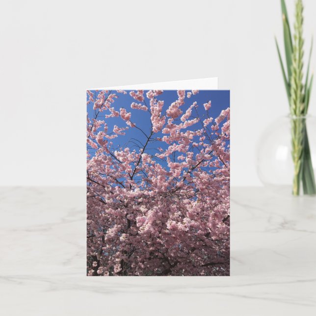 CARTÃO DE AGRADECIMENTO NOTECARD DOBRADA - PRIMAVERA DE PINCO (Frente)
