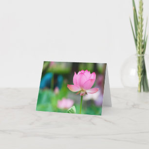 Cartão De Agradecimento Notecard Lotus All Occasion