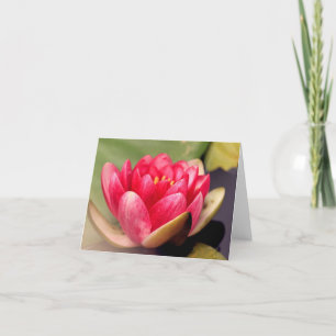 Cartão De Agradecimento Notecard Lotus All Occasion