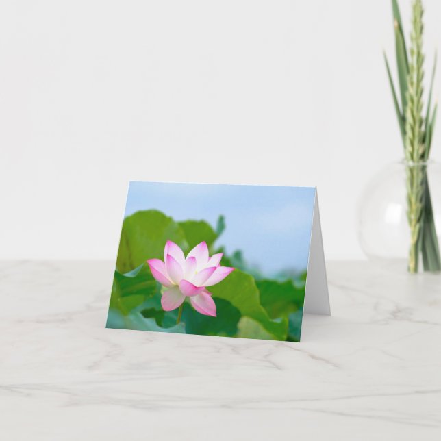 Cartão De Agradecimento Notecard Lotus All Occasion (Frente)