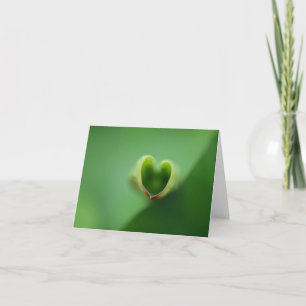 Cartão De Agradecimento Notecard Lotus All Occasion
