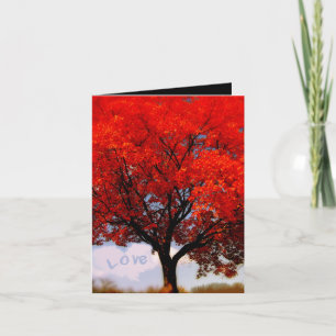 Cartão De Agradecimento O amor está no ar...