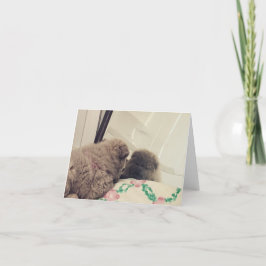 Cartão De Agradecimento o cachorrinho da vaca se vê no espelho