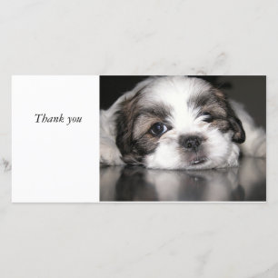 Cartão De Agradecimento o filhote de cachorro o mais bonito nunca,